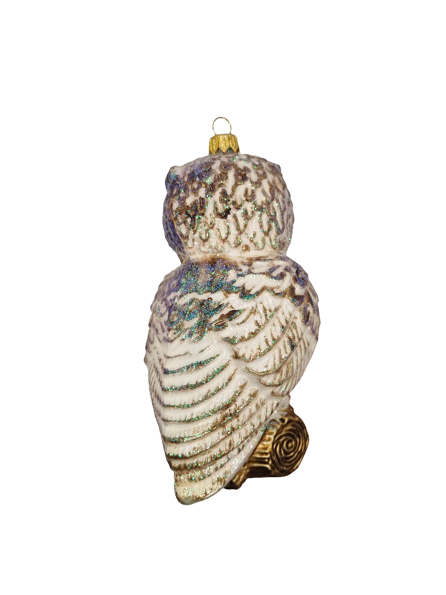 European Glass Christmas ornament of a Owl with Book (V)