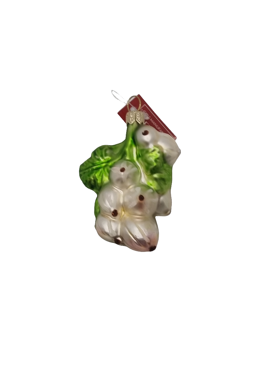 European Glass Christmas ornament of a Gooseberries (H)
