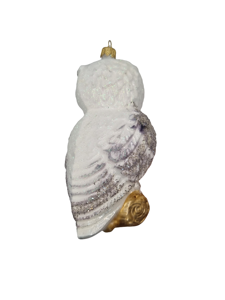 European Glass Christmas ornament of a Owl with Book (V)