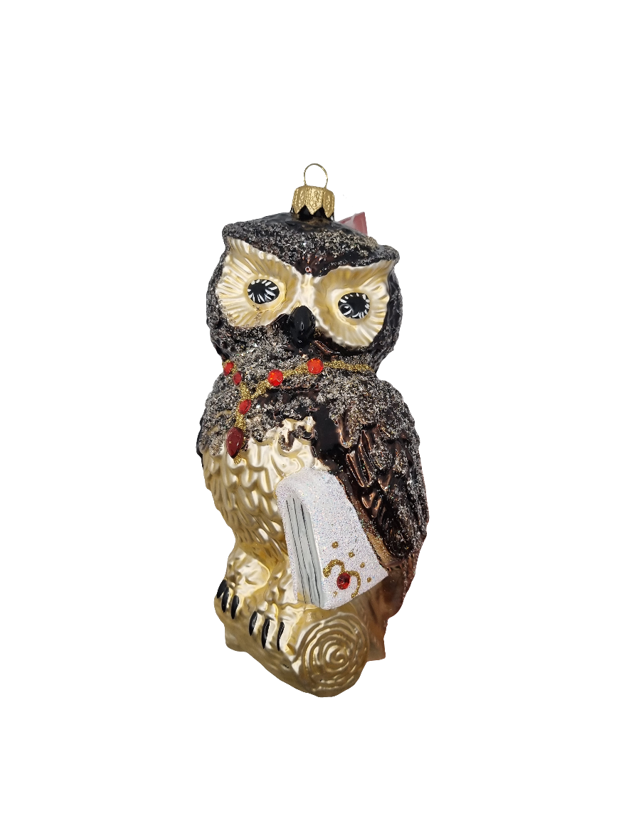 European Glass Christmas ornament of a Owl with Book (V)