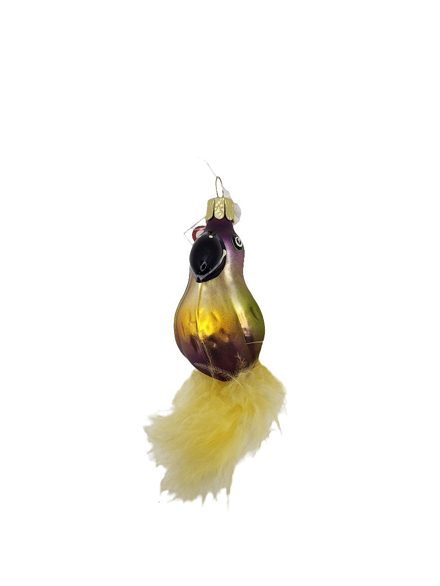 European Glass Christmas ornament of a Toucan small with tail (G)