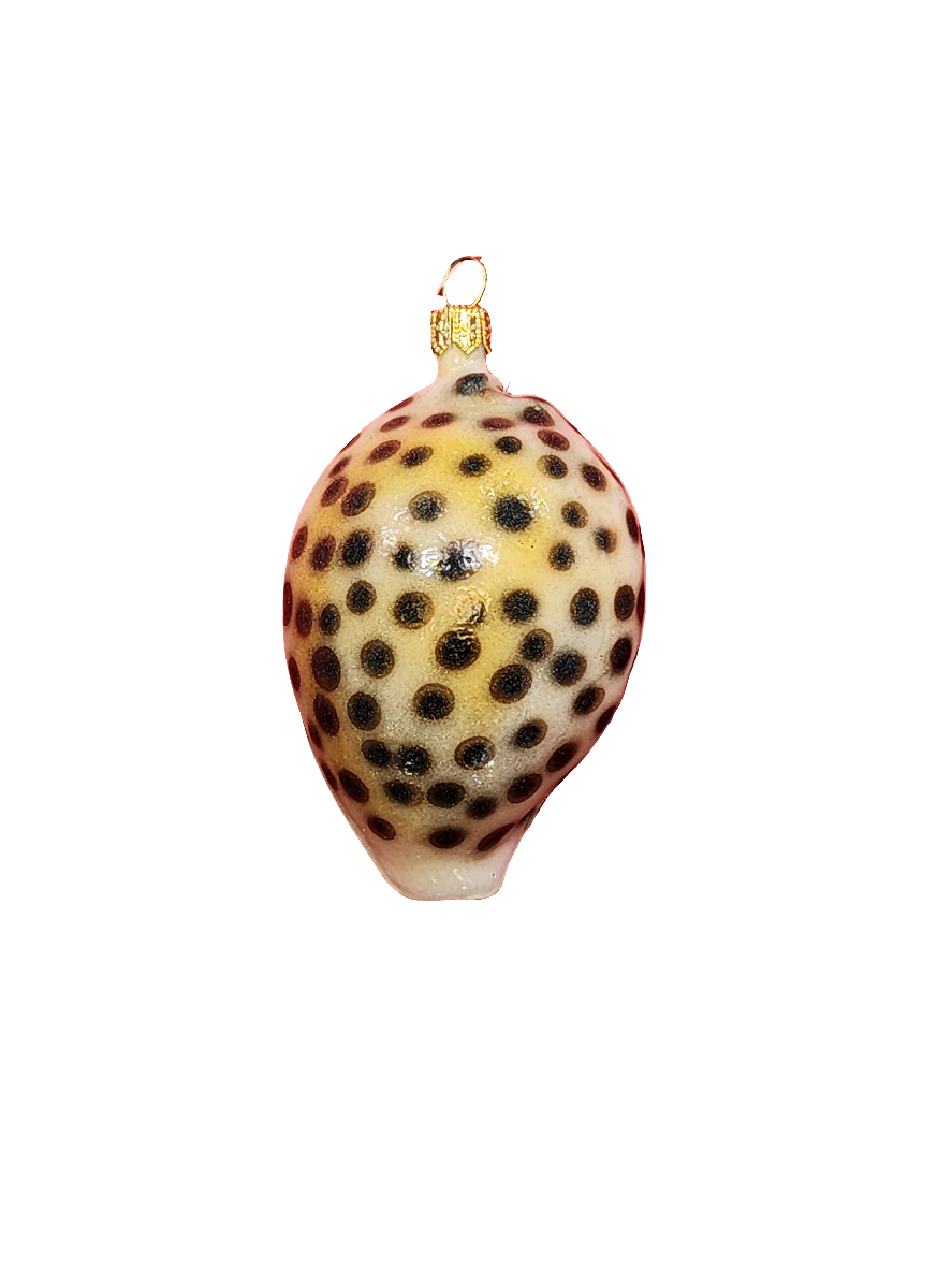 European Glass Christmas ornament of a Shell (P)