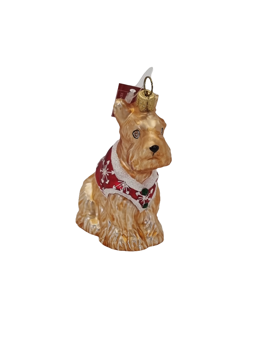 European Glass Christmas ornament of a Dog Terrier in Christmas Jacket (P)
