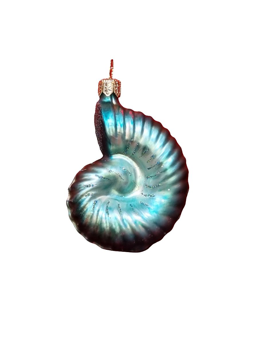 European Glass Christmas ornament of a Shell | Snail (C)