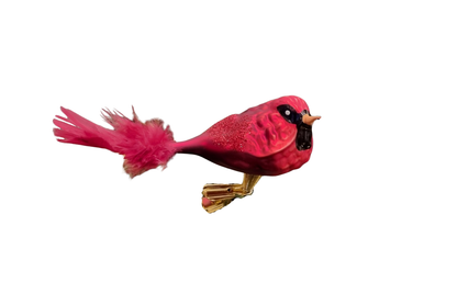 Birds on Clip (I) | Robins, Cardinals and Shrikes