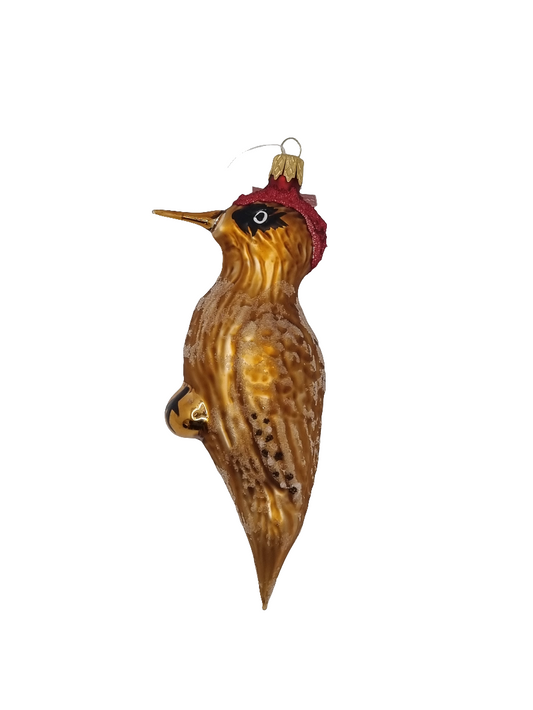 Vogel | Specht mit rotem Oberteil (G)