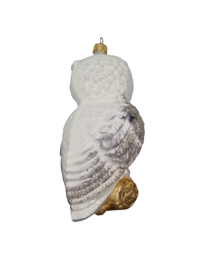 European Glass Christmas ornament of a Owl with Book (V)
