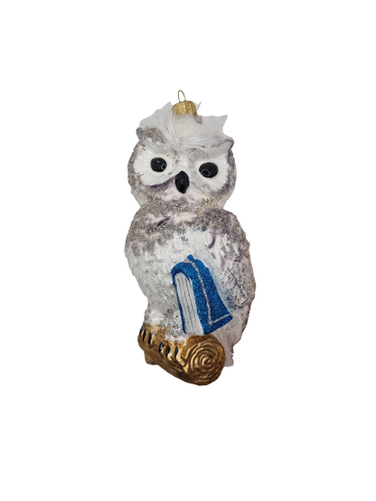 European Glass Christmas ornament of a Owl with Book (V)