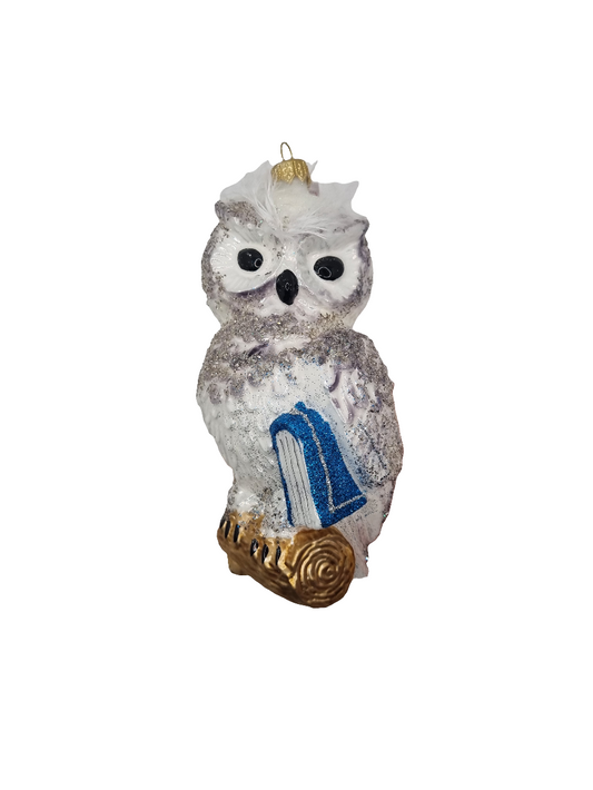 European Glass Christmas ornament of a Owl with Book (V)