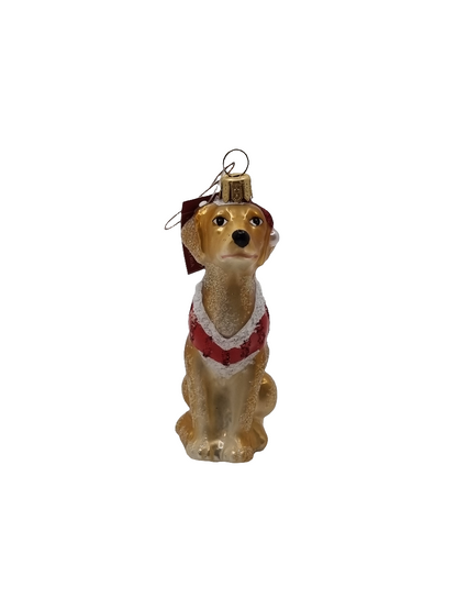 European Glass Christmas ornament of a Dog Golden Labrador Christmas Jacket (R)