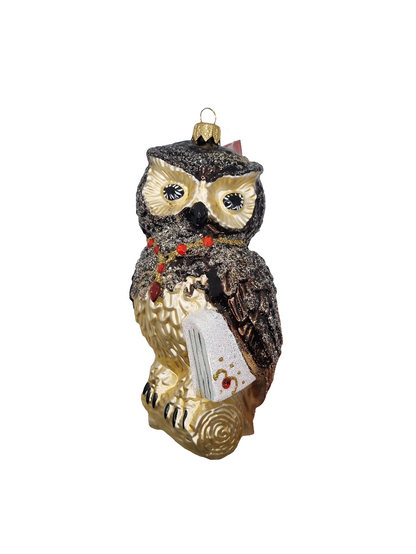 European Glass Christmas ornament of a Owl with Book (V)