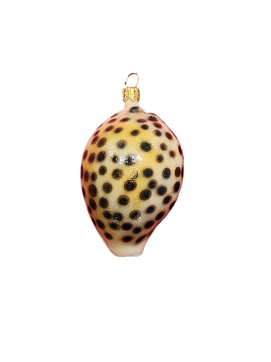 European Glass Christmas ornament of a Shell (P)