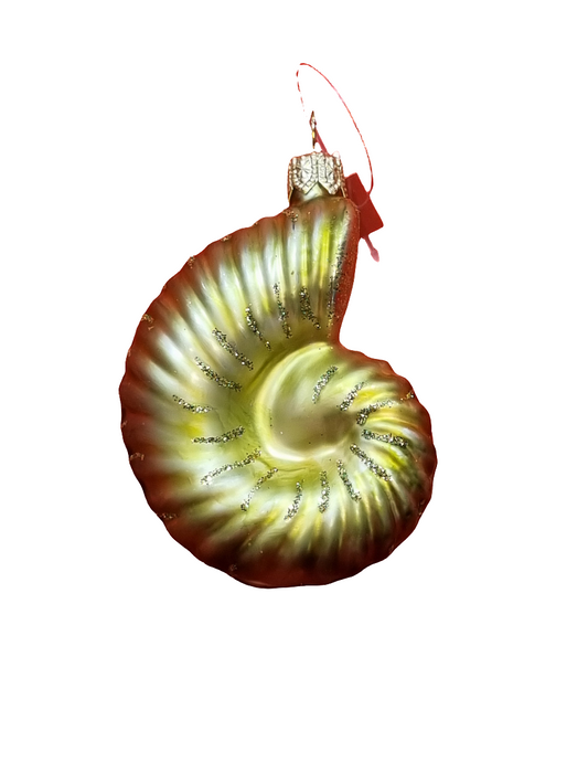 European Glass Christmas ornament of a Shell | Snail (C)