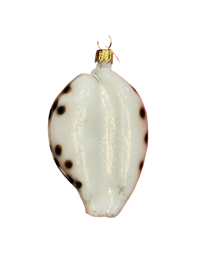 European Glass Christmas ornament of a Shell (P)
