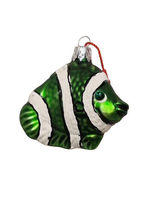 Fisch | Gefärbt mit weißen Streifen (F)