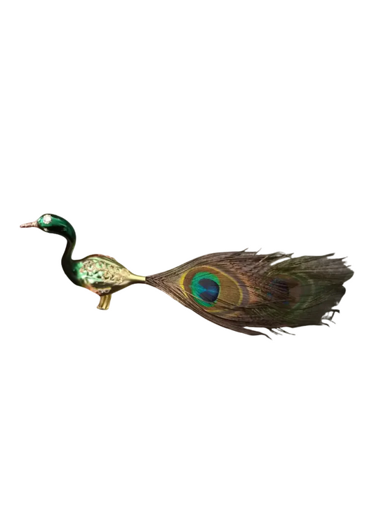 Peacock | Birds on Clip (N)