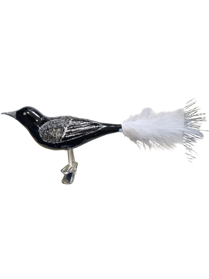 Black and silver bird