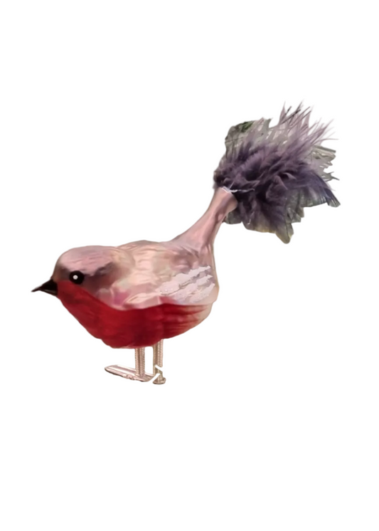 Birds on Clip (I) | Robins, Cardinals and Shrikes