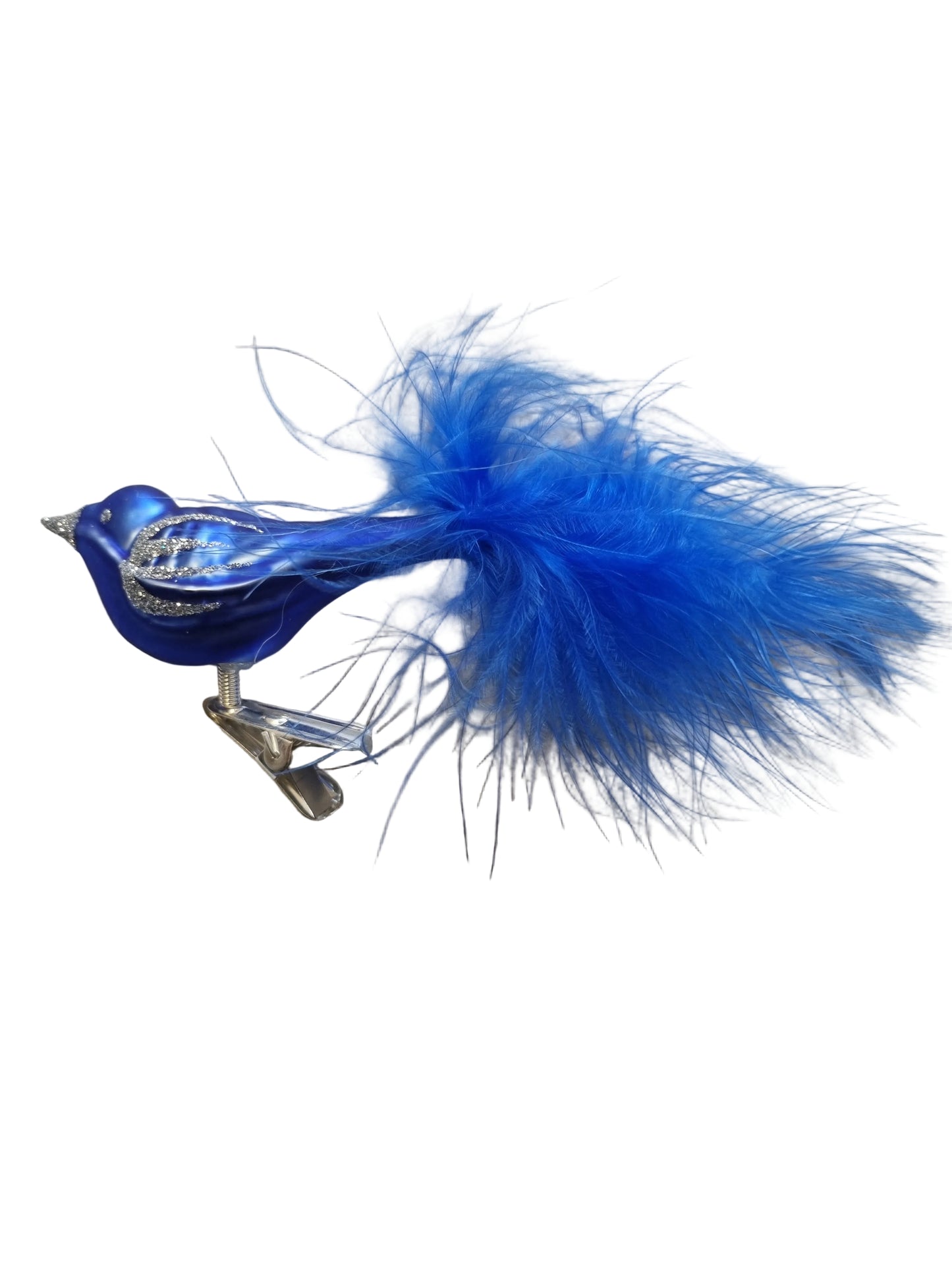 Blue feathered bird on clip 